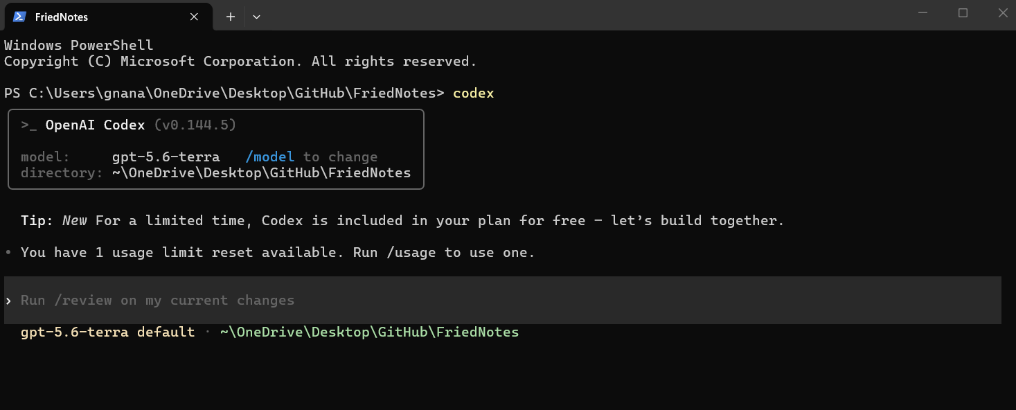 Codex_in_terminal